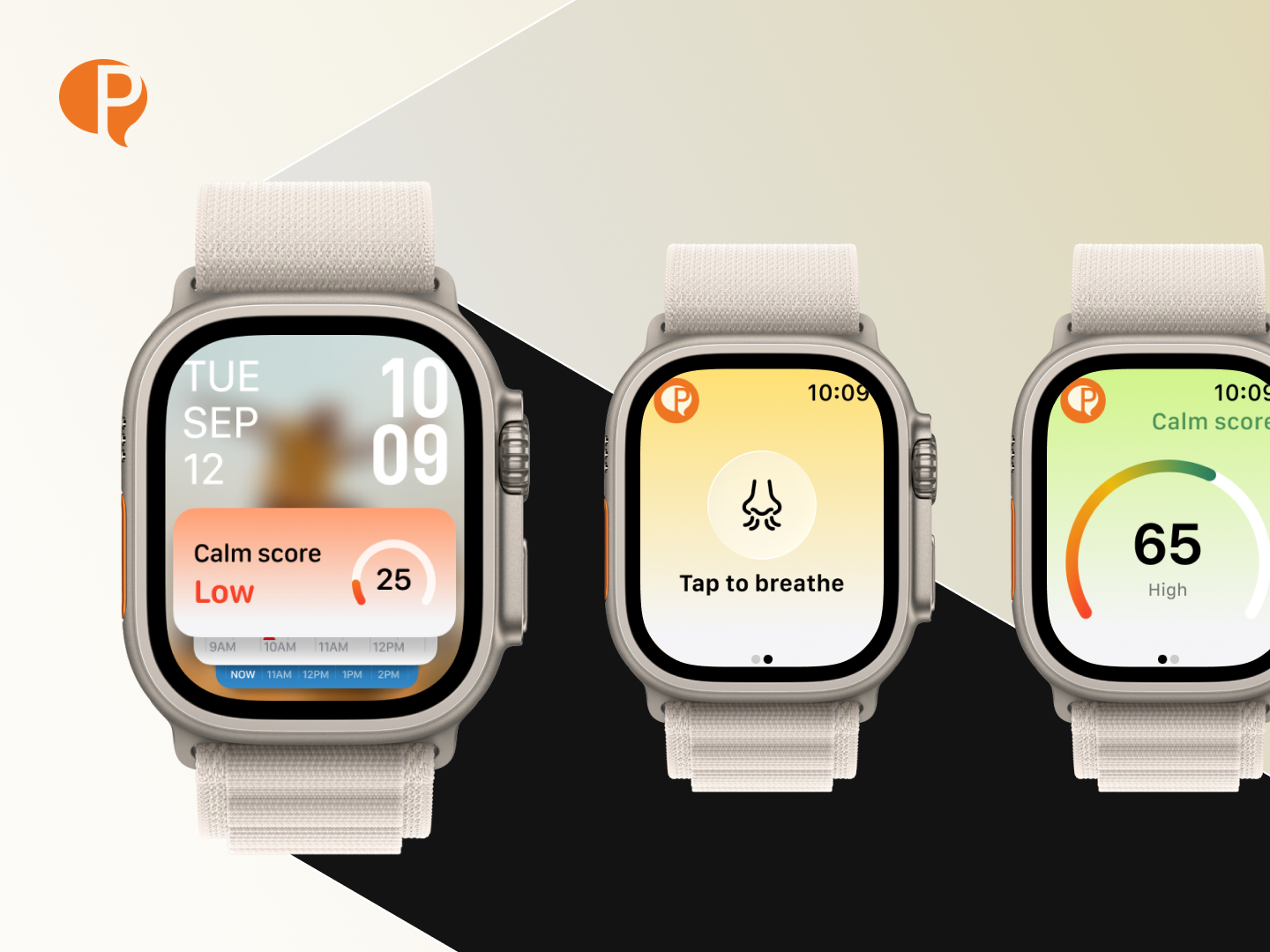 Pulse Coaching Watch